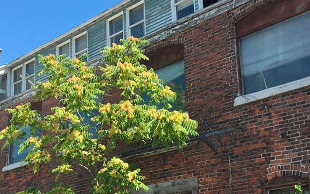 Featured image for “US Properties Sells 95 Trumbull”